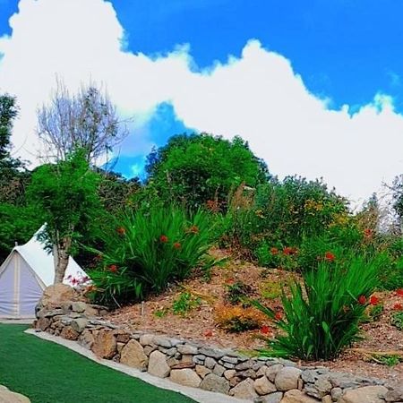 Fairy Cove At Rosemount Glamping Hotel Carlingford Exterior photo