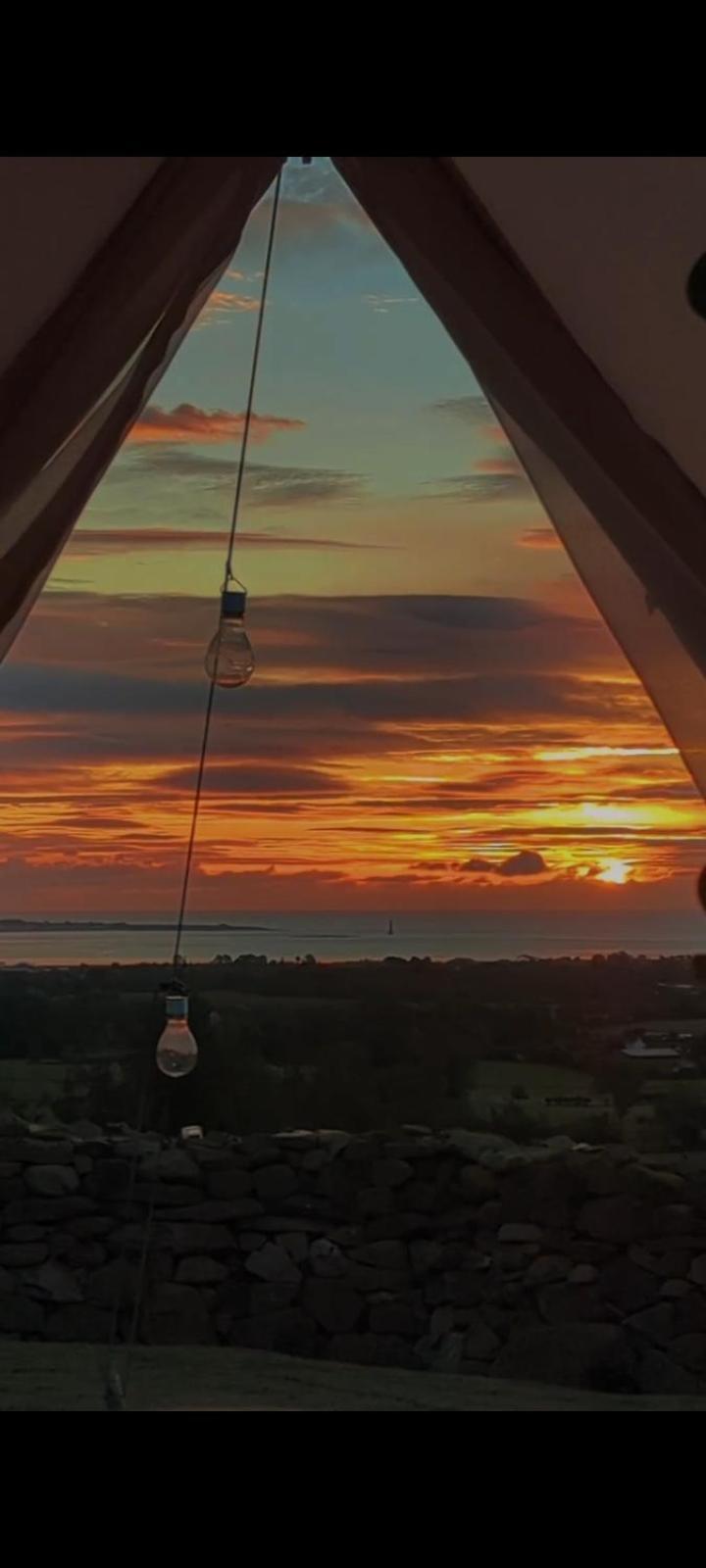 Fairy Cove At Rosemount Glamping Hotel Carlingford Room photo