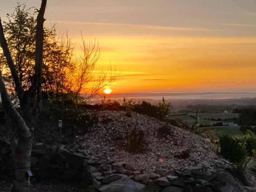Fairy Cove At Rosemount Glamping Hotel Carlingford Exterior photo