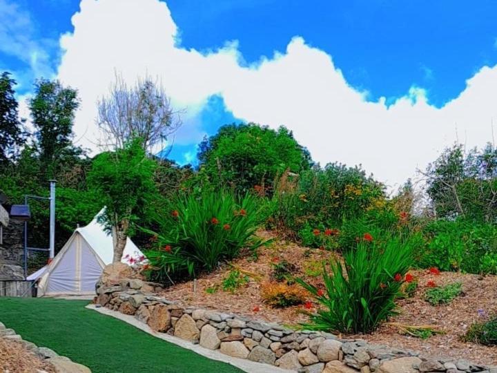 Fairy Cove At Rosemount Glamping Hotel Carlingford Exterior photo
